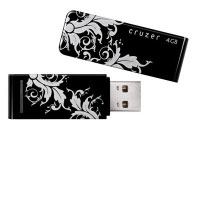 Sandisk Cruzer Pattern 4 GB  (PIXPN916688)